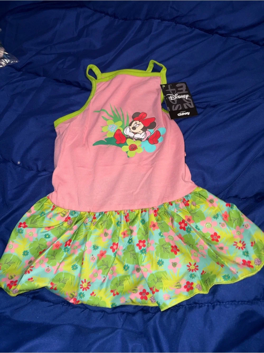 Disney minnie mouse